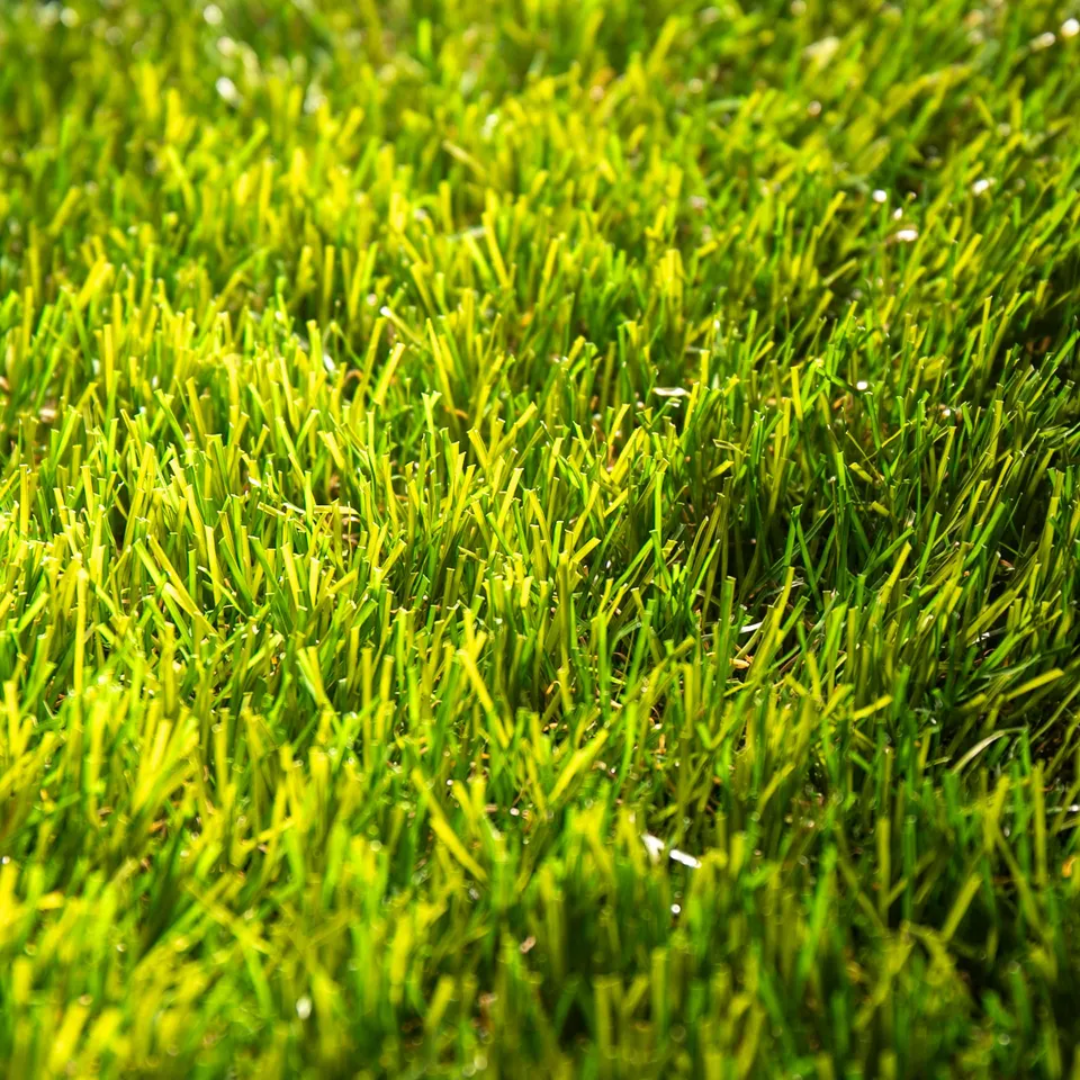 Natural Málaga 40mm
