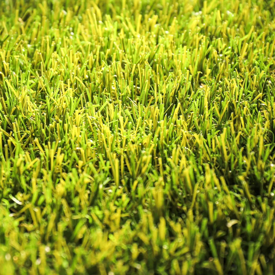 Exclusive Nerja 50mm