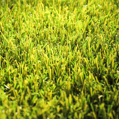 Exclusive Nerja 50mm