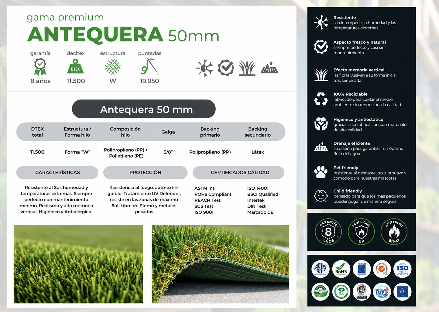 Exclusive Antequera 50mm
