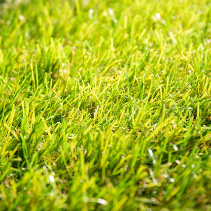 Natural Córdoba 35mm