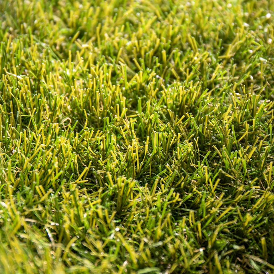 Exclusive Úbeda 65mm