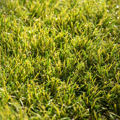 Exclusive Úbeda 65mm
