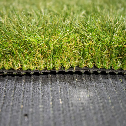 Exclusive Úbeda 65mm